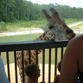 DSCF0147.JPG