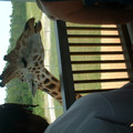 DSCF0149.JPG