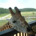 DSCF0150.JPG