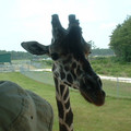 DSCF0152.JPG