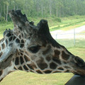 DSCF0156.JPG