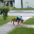 DSCF0159.JPG