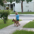 DSCF0161.JPG