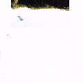 kite_at_the_cabin.jpg