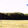 kite_at_the_cabin_2.jpg