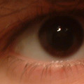 DSCF0011b.JPG