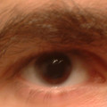DSCF0012b.JPG