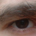 dscf0017b.jpg