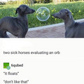 HPLeVehWgAAqUSm.jpg