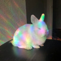 1648170396532573092[1].jpg