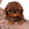 August-04-2011-04-29-47-twitter.jpeg