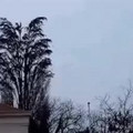 CgeMPxyXIAA7Tgv.mp4
