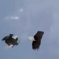 CrkmApfWcAA_L7s.mp4