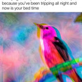 bird_8.jpeg