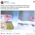 bird_9.jpg