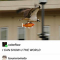 bird_carrying_fish.jpg