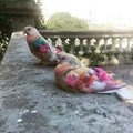 birds 5.jpg