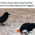 crows dipping.jpg
