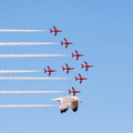 formation.jpg