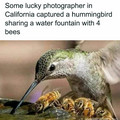funny-country-living-memes3-677be3d4f394f__700.jpg