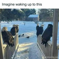 funny-country-living-memes8-678533aab9191__700.jpg
