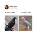he was a punk.jpg