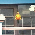 pfbid02icSgHCWKtw52JHgYaHBsafvLkA1rky2wdnjbFaXfAAuLancyjY7fKavyohfKDQTblrefembed_post-png__700.jpg