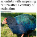 prehistoric.jpg