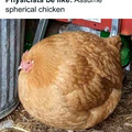 spherical chicken.jpg