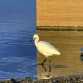 wall_with_reflection.jpg