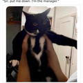 1788446666384904290-png__700.jpg