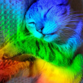 363fe328f6c4c39e1fb7e603bdb0902c.jpg