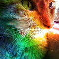 385ae7f0b3f831ace21a6426e1273a9a.jpg