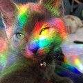 589bde2c8e5d84464235ce27852d98a1.jpg