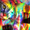 5d85d0abb9be02bc4e4bc51060e40d08.jpg