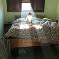 6645da880c31b_religion-related-cat-pics.jpg