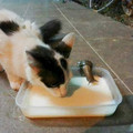 675c420a6a576_cute-blessed-pics.jpg