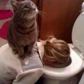 67b33a367c283_funny-animal-memes-hardestanimals.jpg