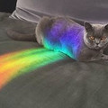 6b6747484342cf7ddaf3a621ad8e0a12.jpg