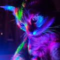 6e6ad28a8f39b423230bfd9c07b94371.jpg