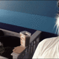 BB7AVdDtS02kW7MHQI1S_Scaring_Cats_1_.gif