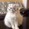 F6WWdoVWwAAERfe_1_.webp