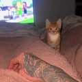 Not sure if its tism or orange cat genes [ub8d9yuz0o3d1].mp4