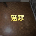 Time-Lapse　Sun-cats ひまわり猫窓-55psWVYSbrI.mkv