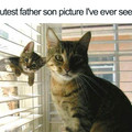 Wholesome-Cat-Posts-32-5d38720d4871c_700.jpg