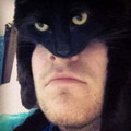 batcat 2.jpg