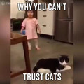 cat trips girl.mp4