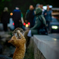 cat_and_mouse.jpg