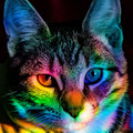 ee1c3281093a7425b29197ad713193df.jpg
