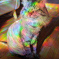 f0bf82c55fe697c08ef377500fc756e8.jpg